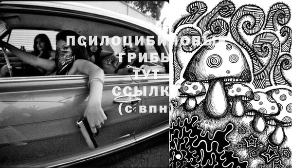 хмурый Богданович