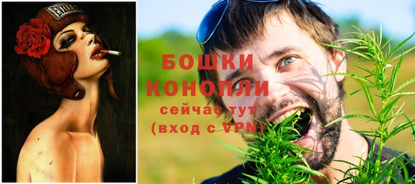ГАЛЛЮЦИНОГЕННЫЕ ГРИБЫ Богородск